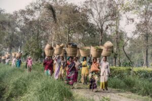 Read more about the article Tool construction for selection of NGO for CSR supported entrepreneur program